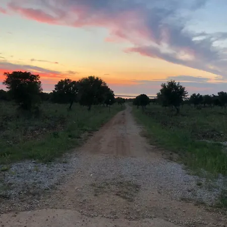 Tenuta De Luca * サン・ニカンドロ・ガルガーニコ