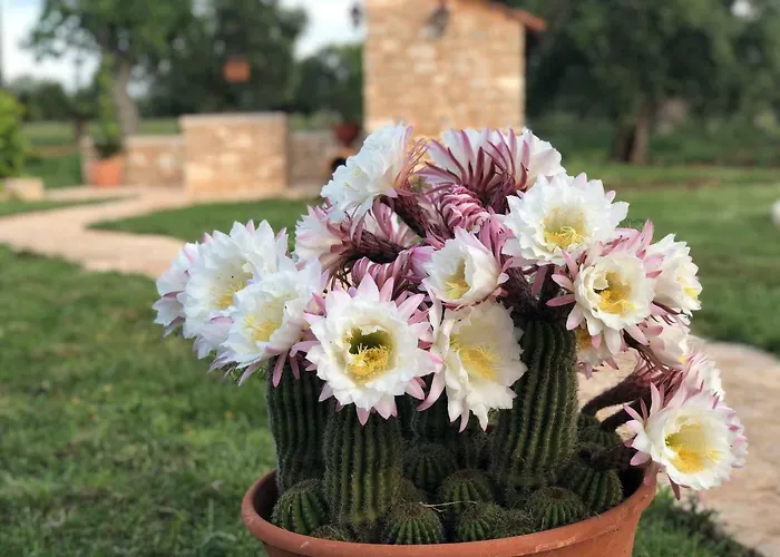 Tenuta De Luca בית חווה *
